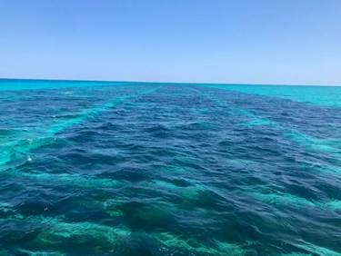 海の上を歩いている中程度の精度で自動的に生成された説明